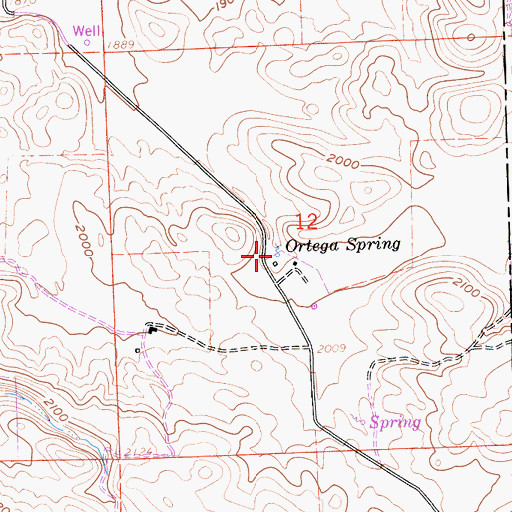 Topographic Map of Ortega Spring, CA