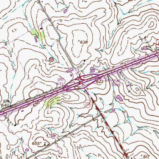 Topographic Map of Interchange 602, TX