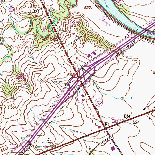 Topographic Map of Interchange 604, TX