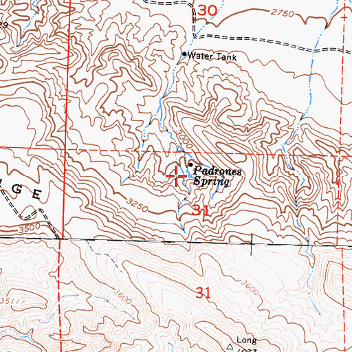 Topographic Map of Padrones Spring, CA