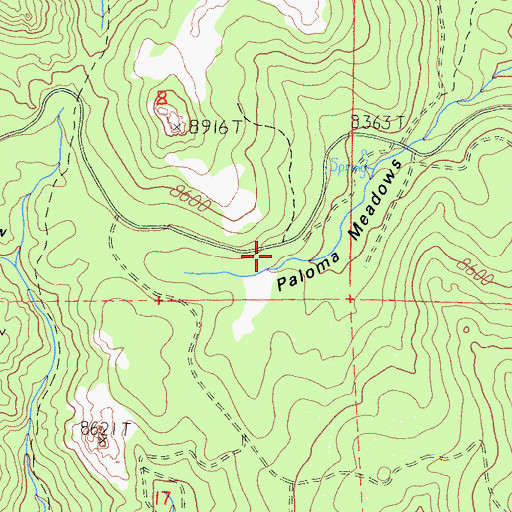Topographic Map of Paloma Meadows, CA
