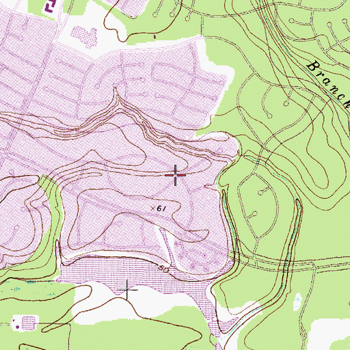 Topographic Map of Kings Forest, TX