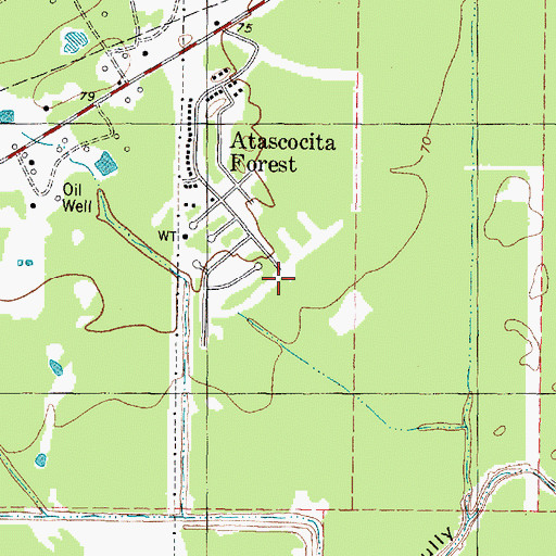 Topographic Map of Atascocita Forest, TX
