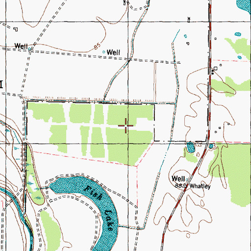 Topographic Map of Shiloh Lake Estates, TX