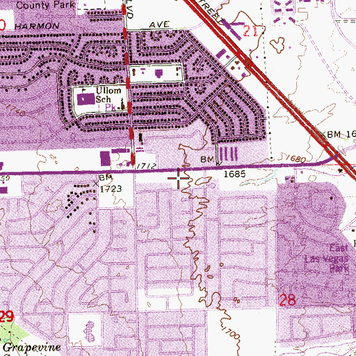 Topographic Map of Whitney Library, NV