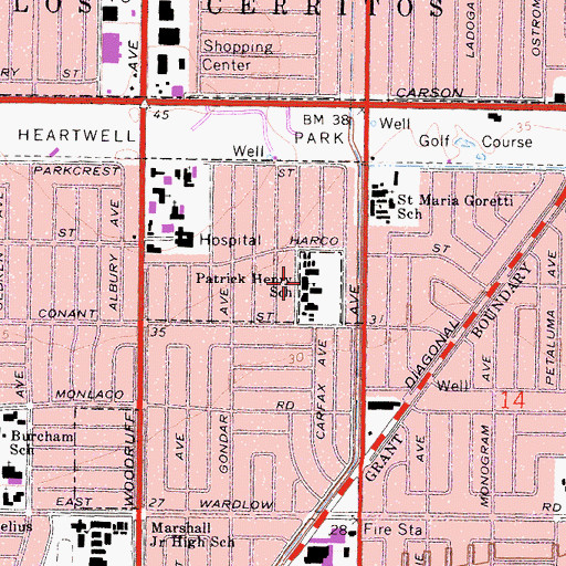 Topographic Map of Patrick Henry Elementary School, CA