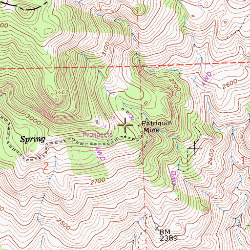 Topographic Map of Patriquin Mine, CA