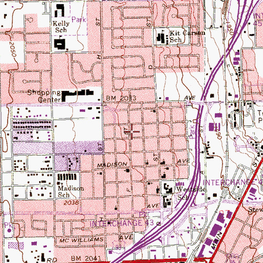 Topographic Map of The True Vine Missionary Baptist Church, NV