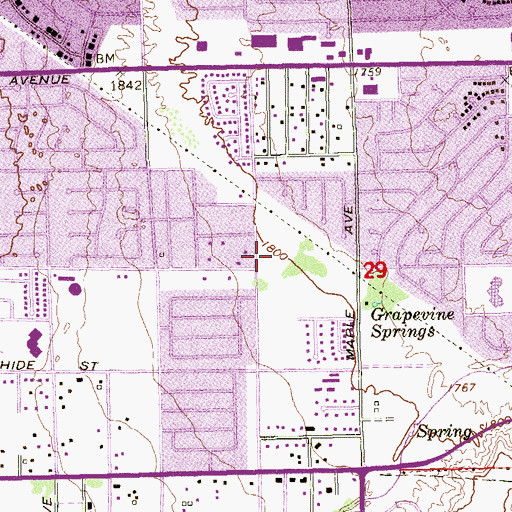Topographic Map of Grapevine Springs Park, NV