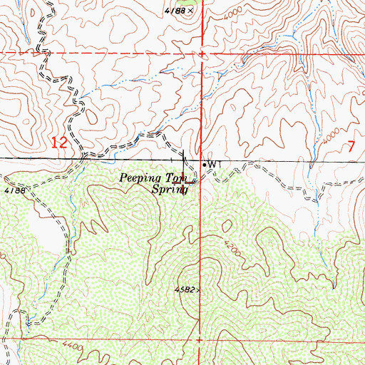 Topographic Map of Peeping Tom Spring, CA