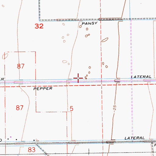 Topographic Map of Pepper Lateral, CA