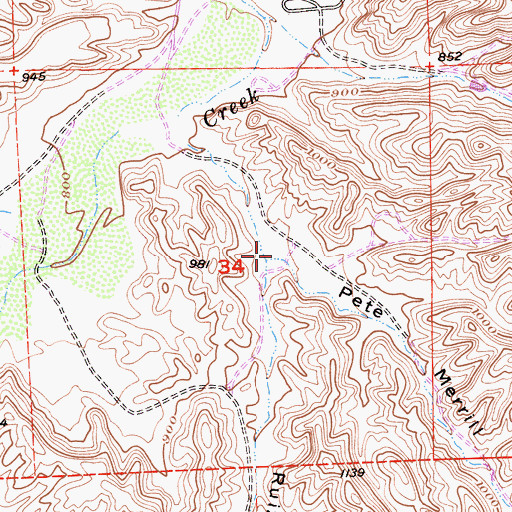 Topographic Map of Pete Merrill Canyon, CA