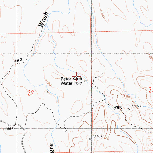 Topographic Map of Peter Kane Water Hole, CA