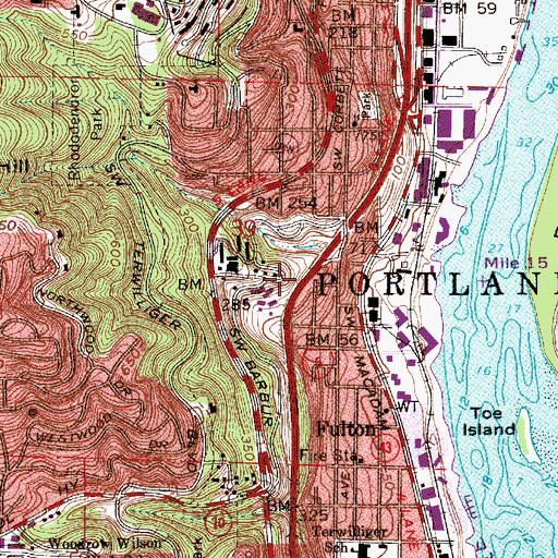 Topographic Map of Interchange 298, OR