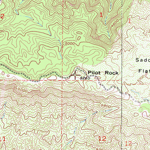 Topographic Map of Pilot Rock, CA