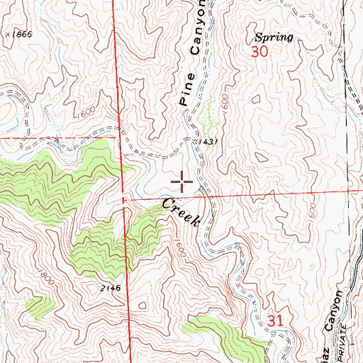 Topographic Map of Pine Canyon, CA