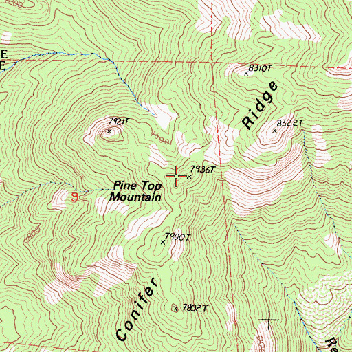 Topographic Map of Pine Top Mountain, CA