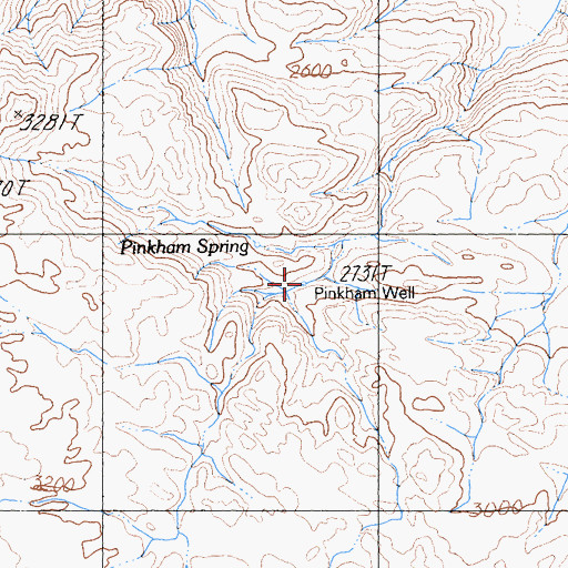 Topographic Map of Pinkham Spring, CA