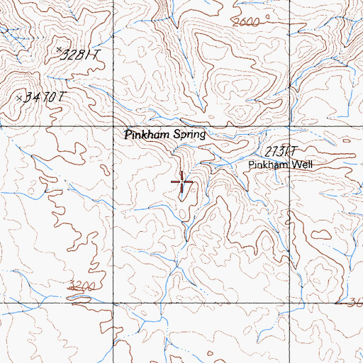 Topographic Map of Pinkham Well, CA