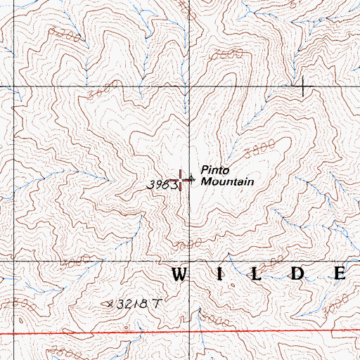 Topographic Map of Pinto Mountain, CA