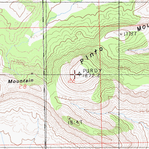 Topographic Map of Pinto Mountain, CA