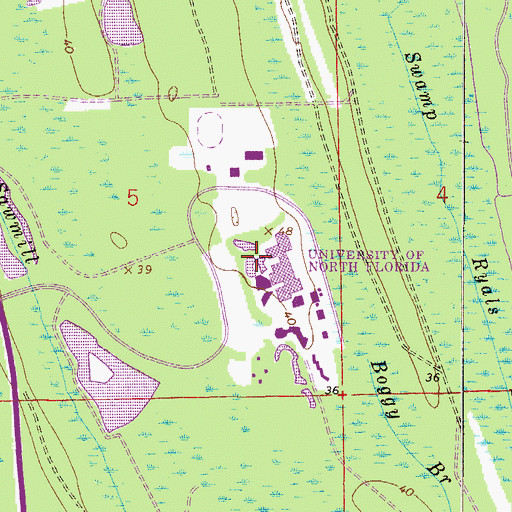 Topographic Map of Coggin College of Buisness, FL