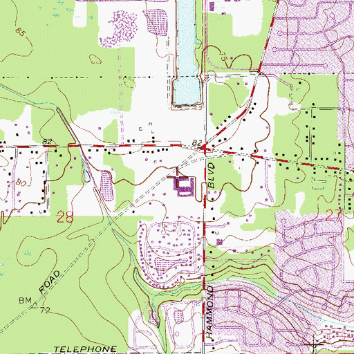 Topographic Map of Crystal Springs Elementary School, FL