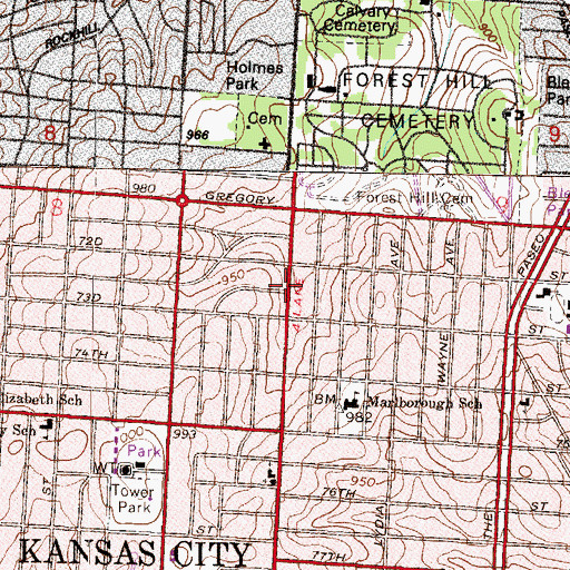 Topographic Map of Better Living Center, MO
