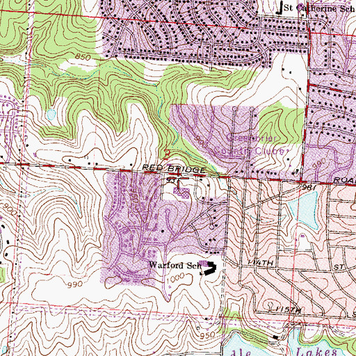 Topographic Map of International House of Prayer, MO