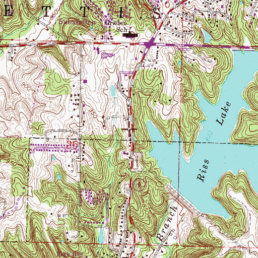 Topographic Map of Cornerstone Bible Church, MO
