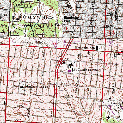 Topographic Map of Grace Baptist Church, MO
