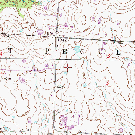 Topographic Map of Raymore - Peculiar Middle School, MO