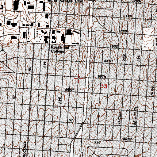 Topographic Map of True Holiness Temple Church, MO