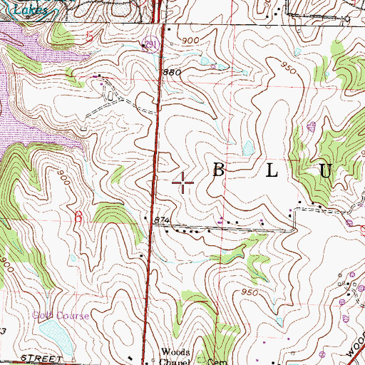 Topographic Map of Delta Woods Middle School, MO