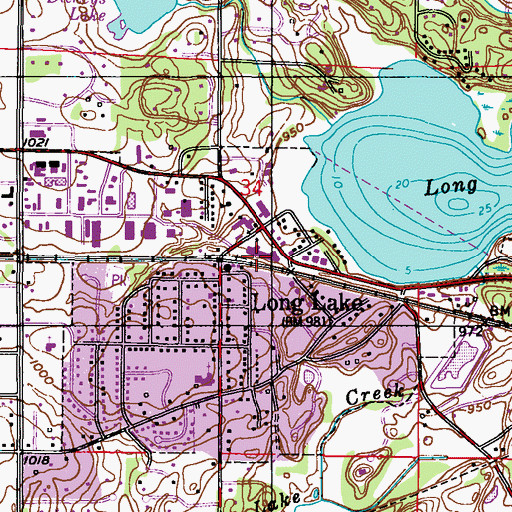 Topographic Map of Long Lake City Hall, MN
