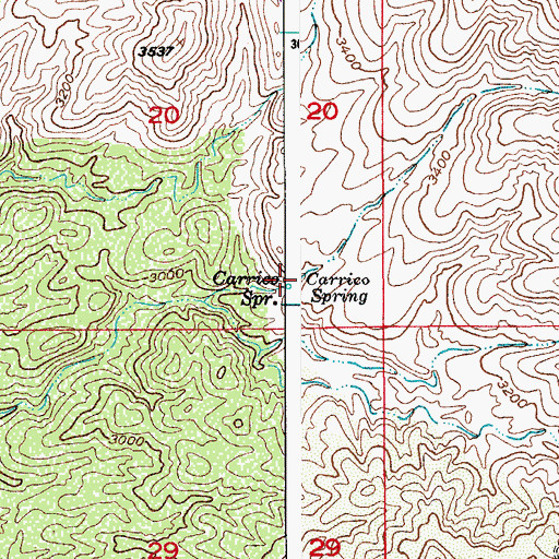 Topographic Map of Carrico Spring, AZ