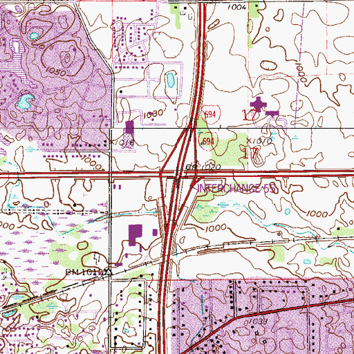 Topographic Map of Interchange 55, MN
