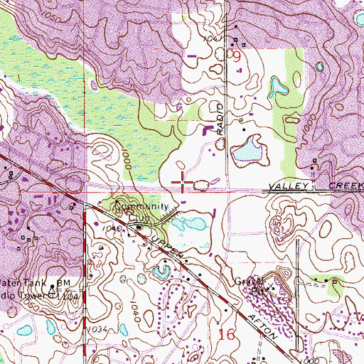 Topographic Map of City Center Plaza Shopping Center, MN