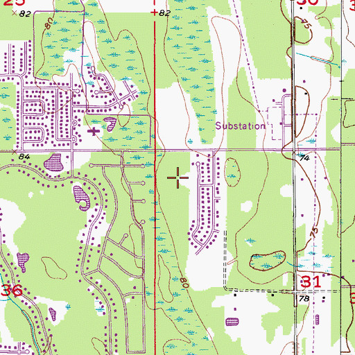 Topographic Map of Parkway Baptist Church Spanish Mission, FL