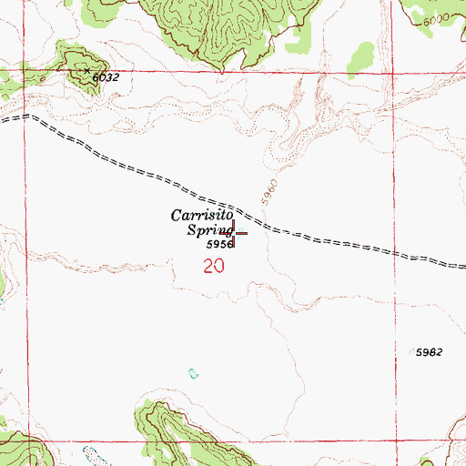Topographic Map of Carrisito Spring, AZ