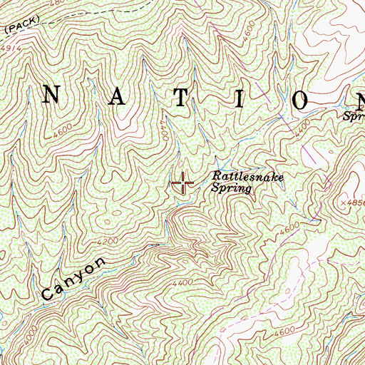 Topographic Map of Rattlesnake Spring, CA