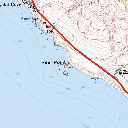 Topographic Map of Reef Point, CA