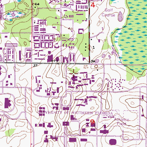 Topographic Map of Andros Center, FL