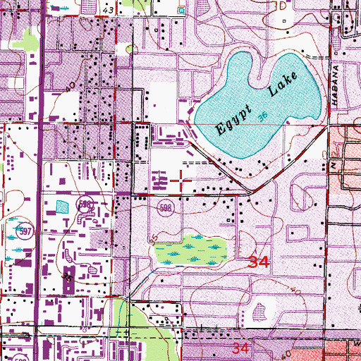 Topographic Map of Egypt Lake Partnership Library, FL