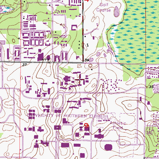 Topographic Map of Iota Hall, FL