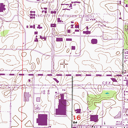 Topographic Map of Lifsey House, FL