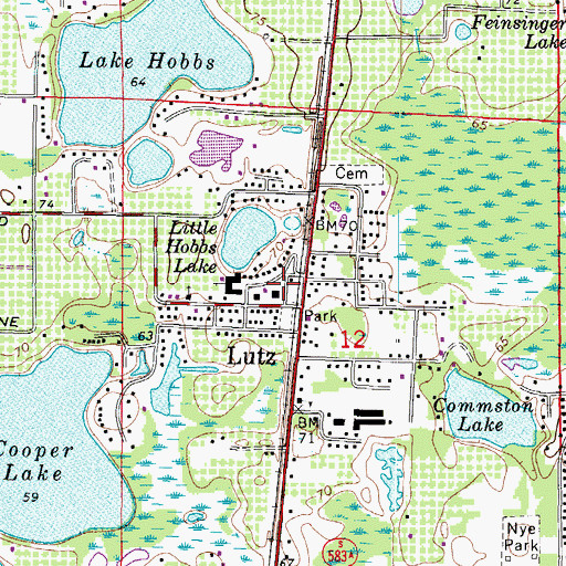 Topographic Map of Lutz Branch Library Hillsborough County Public Library, FL