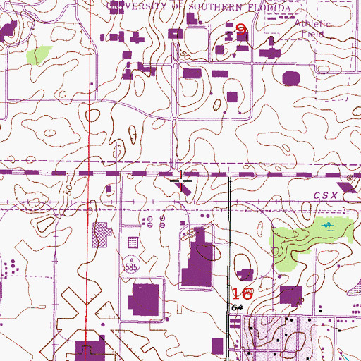 Topographic Map of Sam and Martha Gibbons Alumni Center, FL