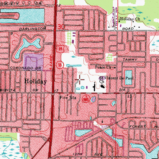 Topographic Map of South Holiday Branch Library Pasco Public Library, FL