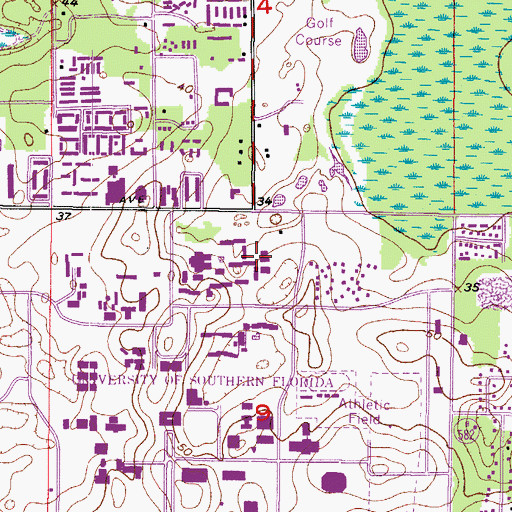 Topographic Map of Theta Hall, FL